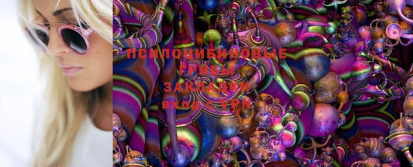 a pvp Михайловка