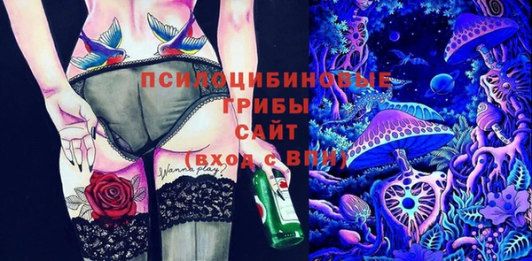 герыч Щигры