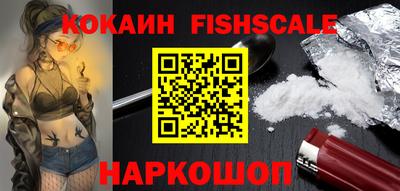 a pvp Гатчина