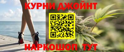a pvp Гатчина