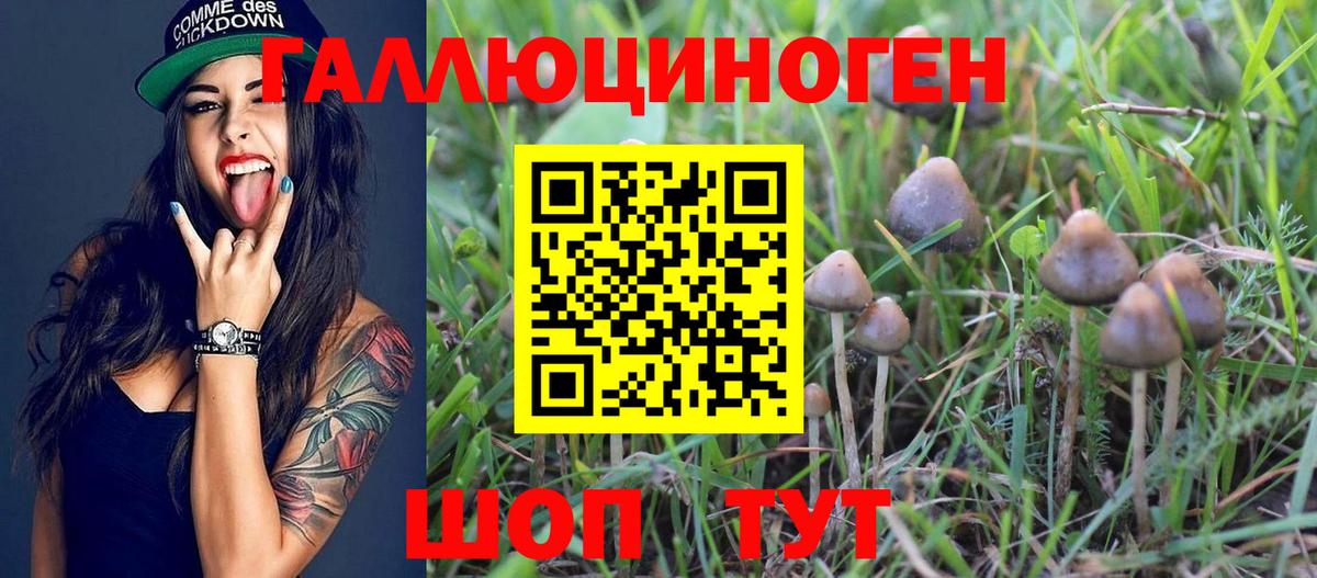 Галлюциногенные грибы MAGIC MUSHROOMS  Искитим  Галлюциногенные грибы Magic Shrooms 