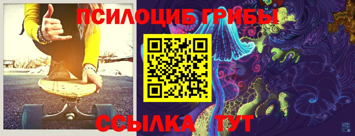 Искитим  Галлюциногенные грибы прущие грибы  Вход с VPN 